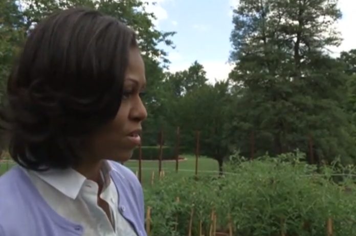 Michelle Obamas Garden Is Political Rewire News Group