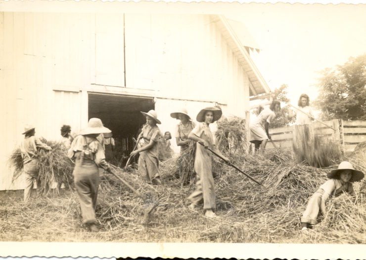 [Photo: An old, yellowed photograph showing a group of women dressed in overalls and straw hats, baling hay in front of a barn'