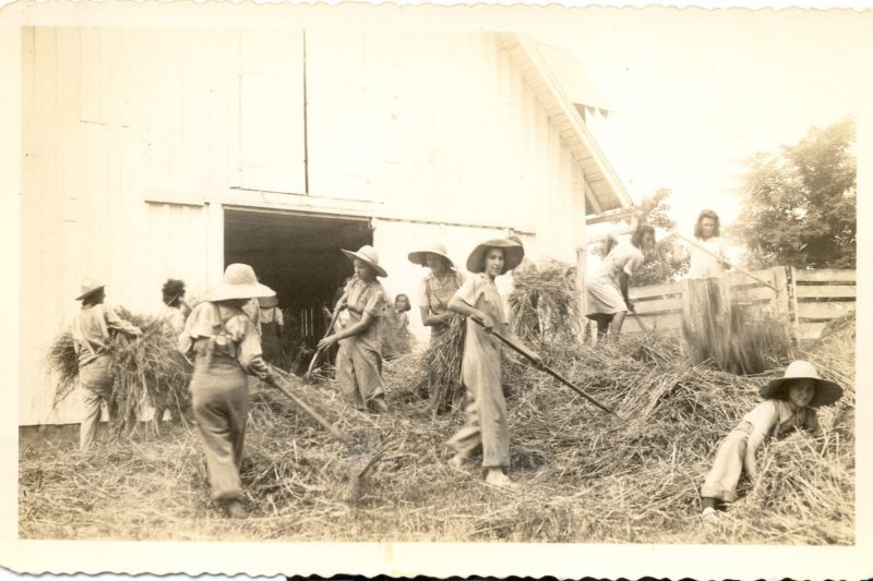 [Photo: An old, yellowed photograph showing a group of women dressed in overalls and straw hats, baling hay in front of a barn'