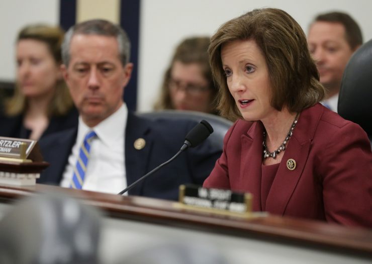 [Photo: Vicky Hartzler speaks during a committee hearing]