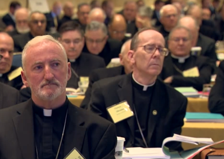 [Photo: Catholic bishops sit and listen during the United States Conference of Catholic Bishops]