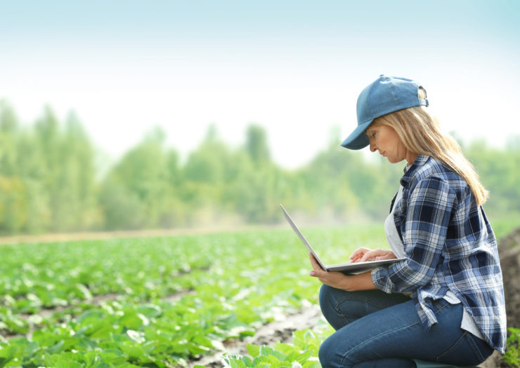 [Photo: Woman in a cap, jeans, and flannel shirt works on a laptop near a field of green plants.]