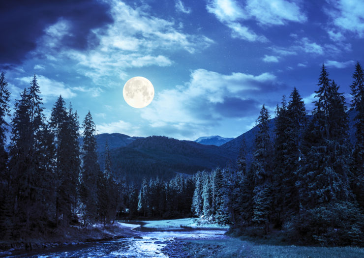 [Photo: A river flowing under a moonlit night between a bank of pine trees, with mountains rising in the background.]